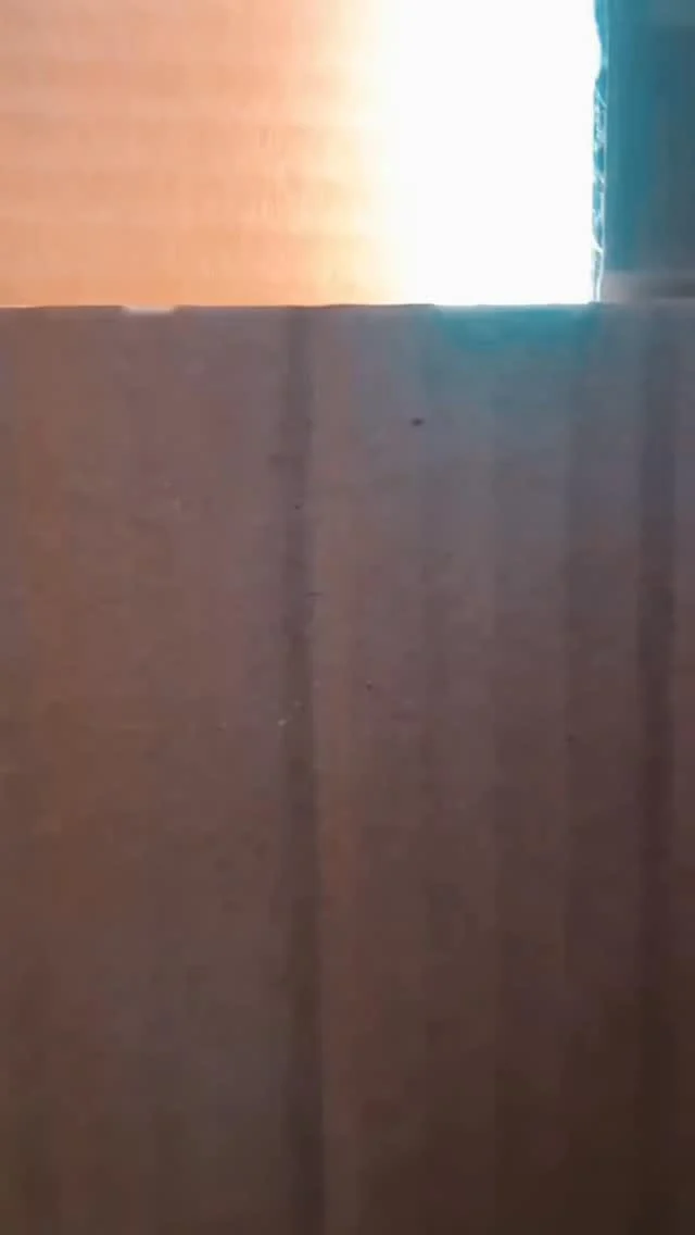 Instagram post from committedsupport. This post is in position 47.