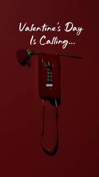 Instagram post from committedsupport. This post is in position 30.